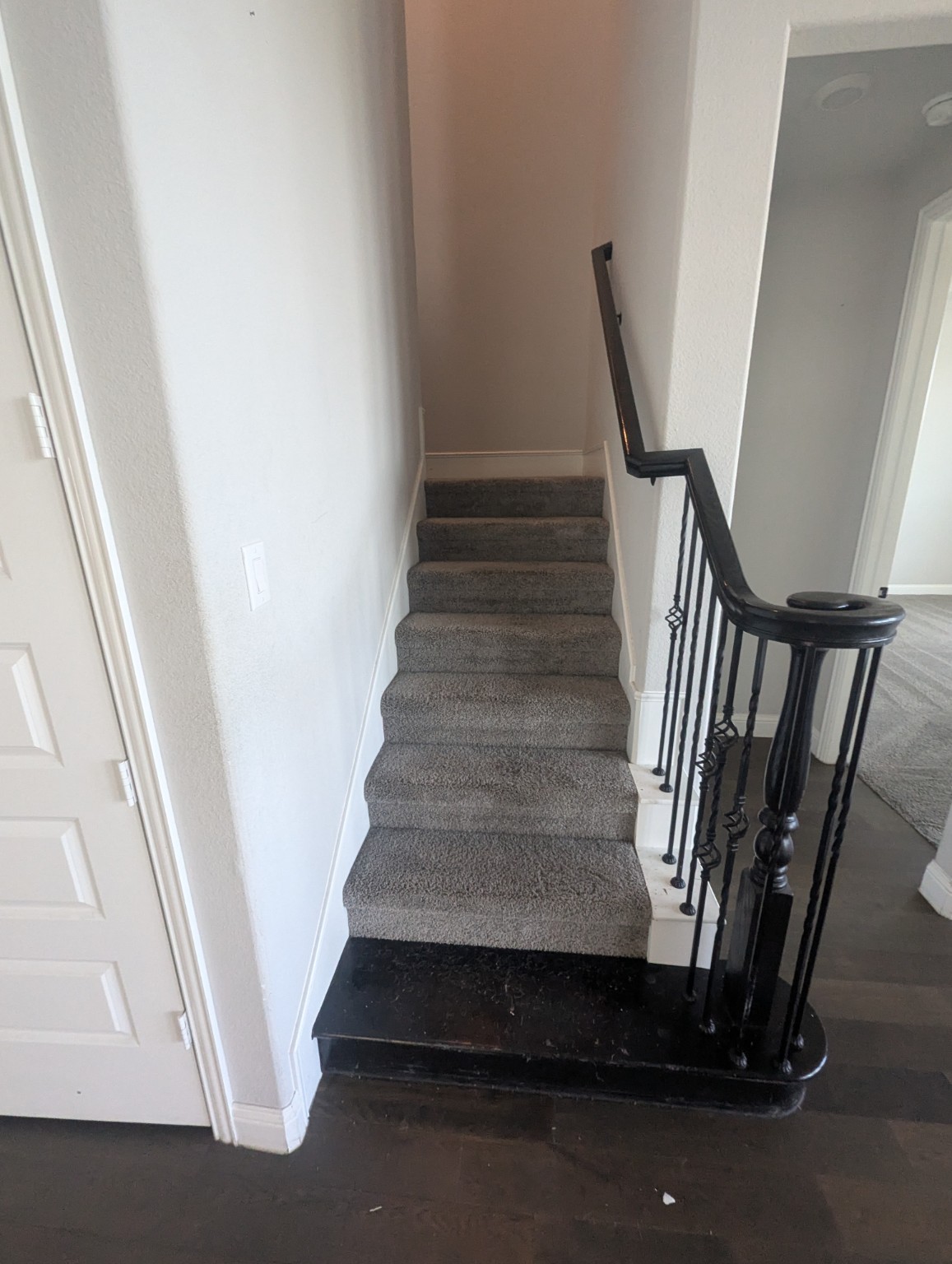 Professionally cleaned carpeted staircase in the Dallas area