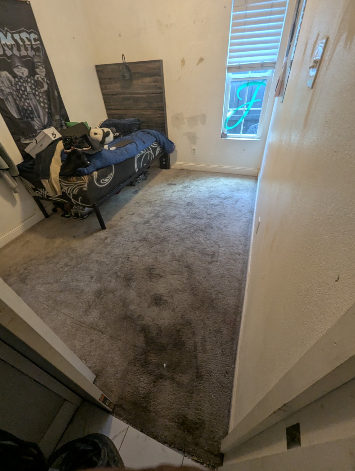 Carpeted room before professional cleaning by Stain Punishers