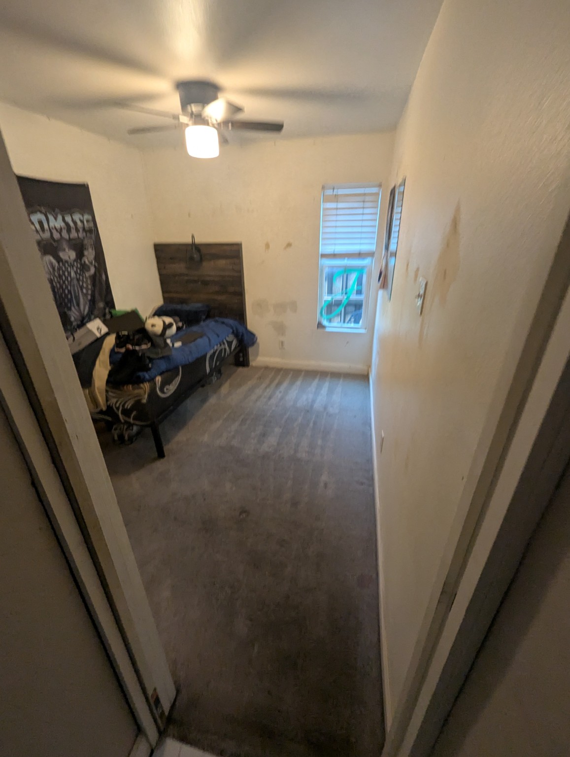 The same carpeted room after professional cleaning by Stain Punishers