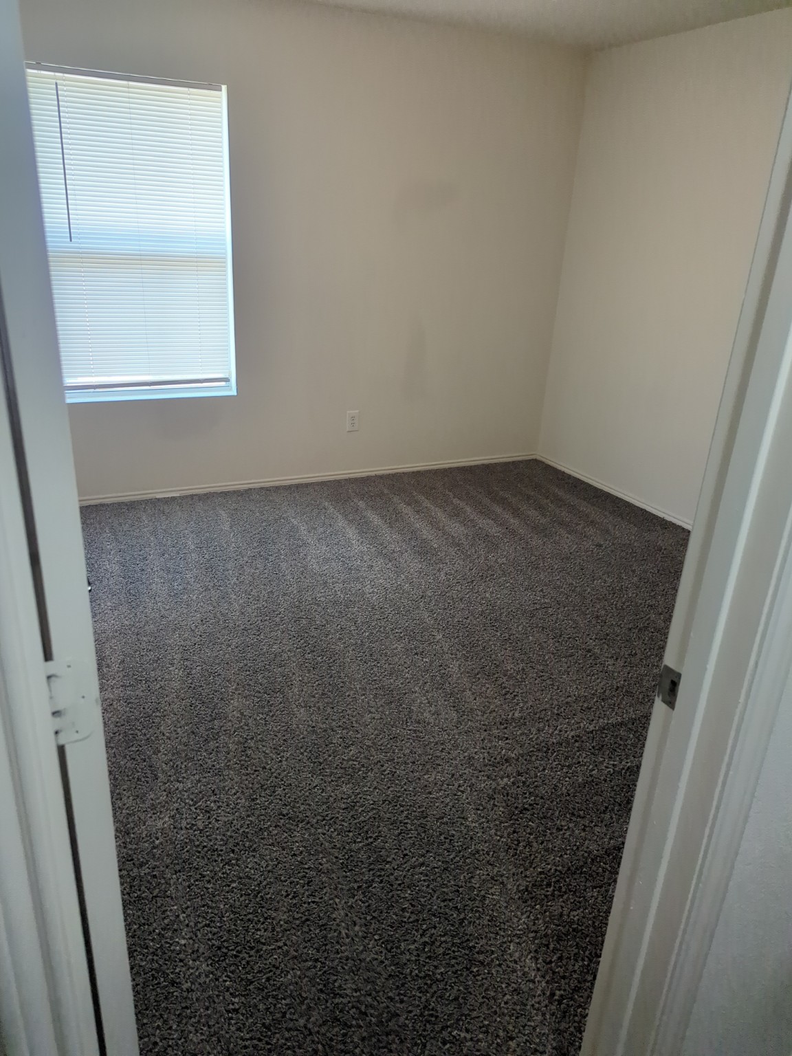Professional carpet cleaning results by Stain Punishers