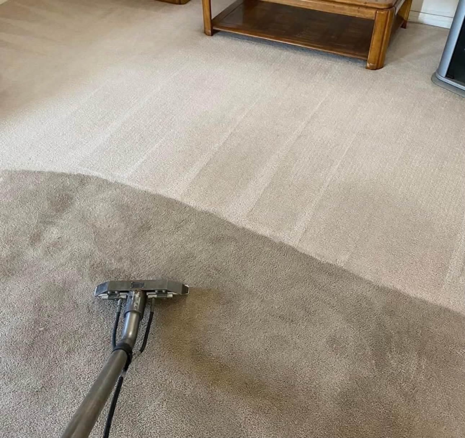 Professional carpet cleaning showing the contrast between cleaned and untreated carpet