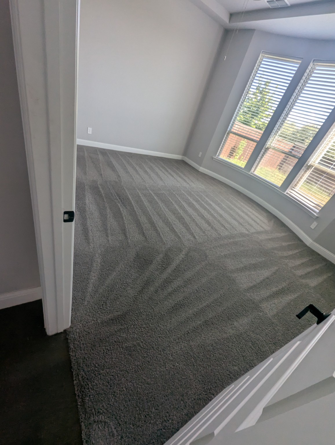 Freshly cleaned carpet with professional grooming lines