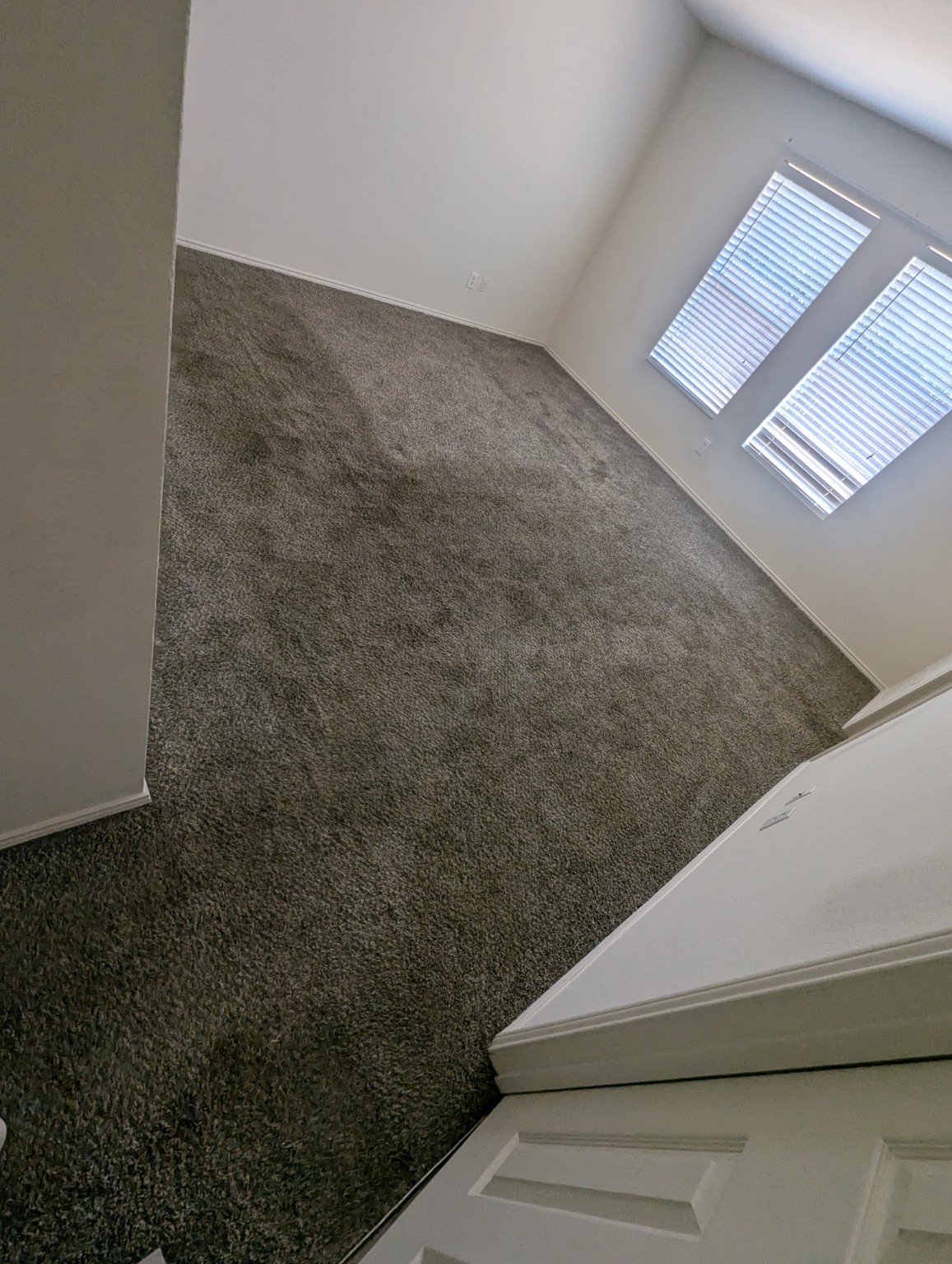 Cleaned staircase carpet