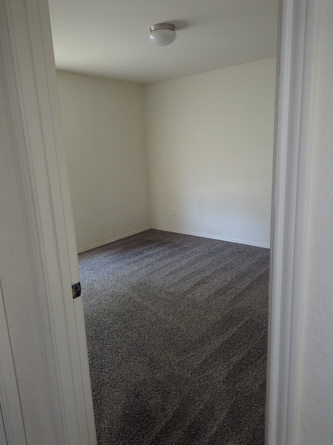 Professional carpet cleaning lines